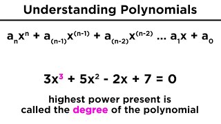 Introduction to Polynomials [upl. by Hesky377]