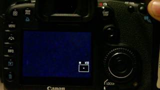 Beginners Guide to the Canon EOS 7D Part 1 [upl. by Oratnek408]