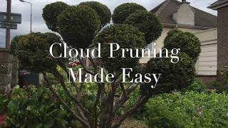 Cloud Pruning Made Easy [upl. by Aluor768]