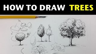 How to Draw Trees with Pen amp Ink [upl. by Lohner159]