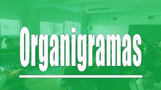 Tipos de organigramas [upl. by Acirderf]