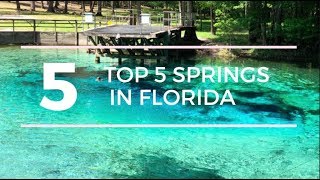 TOP 5 SPRINGS in FLORIDA with a CAMPGROUND [upl. by Nonnah]