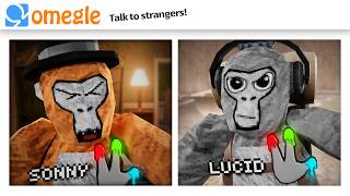 OMEGLE Trolling in Gorilla Tag [upl. by Adnarym]