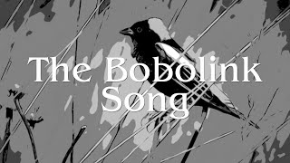 The Bobolink Song [upl. by Llednahc306]