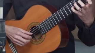 Classical Guitar Lesson 1 [upl. by Gaye]