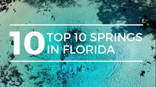 TOP 10 SPRINGS in FLORIDA  Best Florida Springs  Florida Springs  Ginnie Springs [upl. by Ytsirhc]